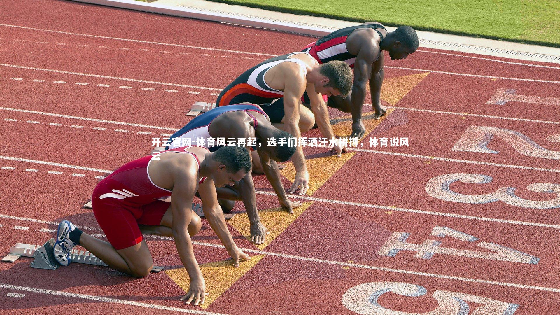 体育风云再起，选手们挥洒汗水拼搏，体育说风云